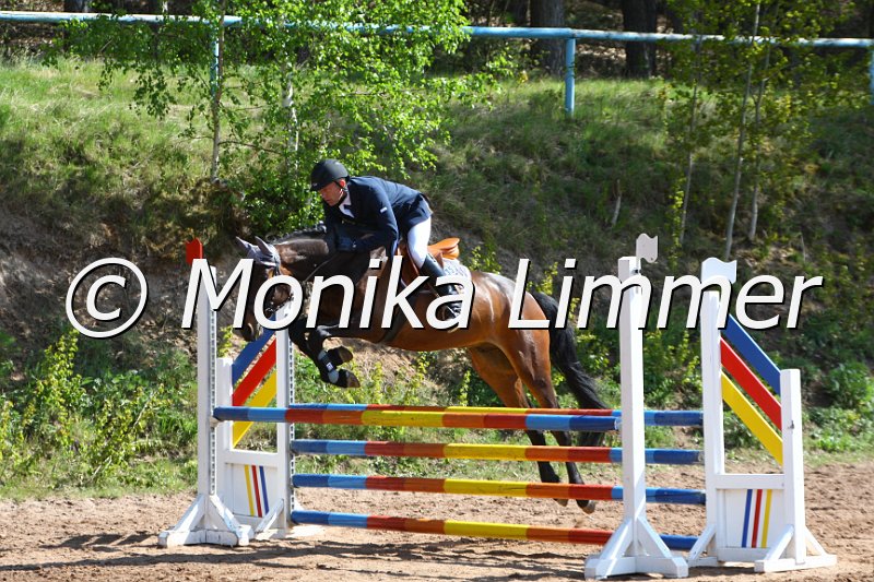 004M1664_Calario_Springpferde A xx.JPG